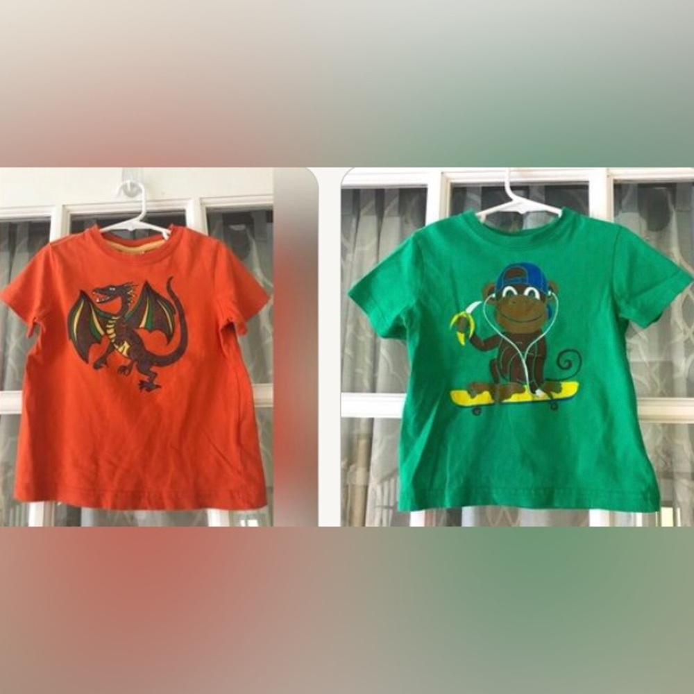 Pair of Hanna Andersson size 90 3T t-shirts in VGUC! 100% cotton 2 shirt pack!